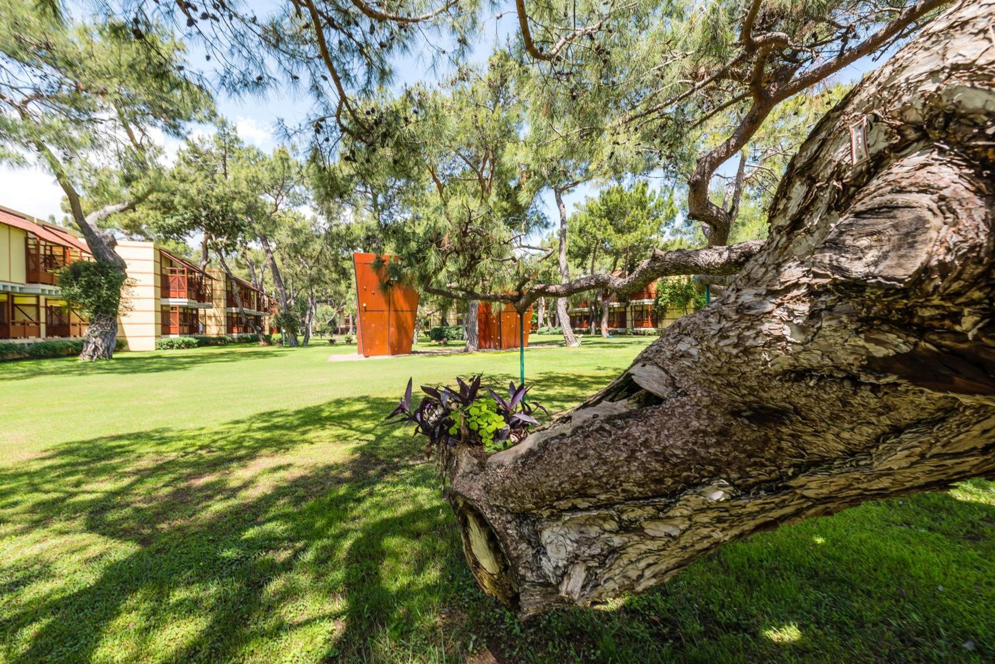 Robinson Camyuva - Adults Only Hotel Kemer Exterior photo